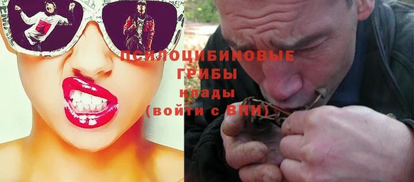 PSILOCYBIN Балабаново