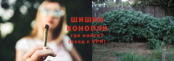 PSILOCYBIN Балабаново