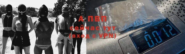 прущие крисы Белокуриха