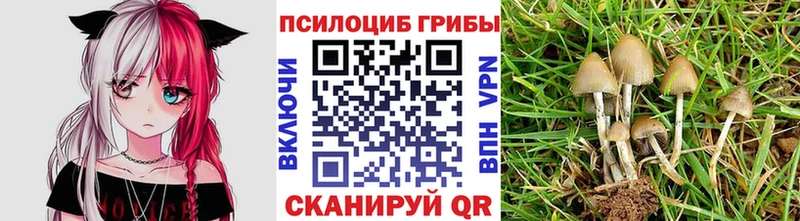 Псилоцибиновые грибы GOLDEN TEACHER продажа наркотиков Никольское